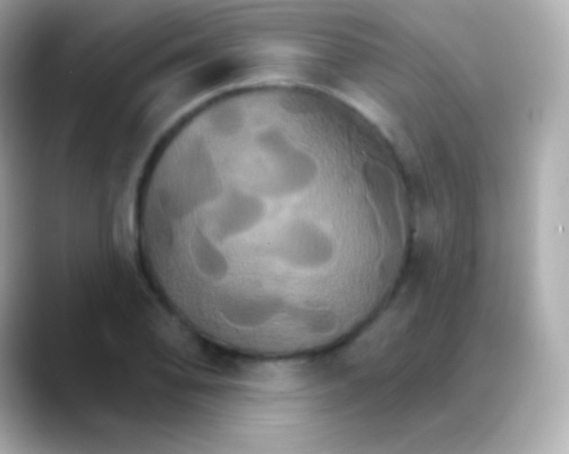 X0000088471078200706051338