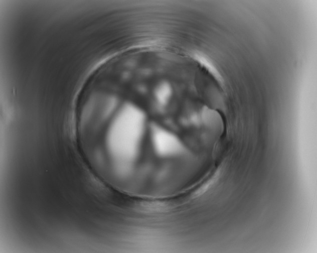 X0000088471079200706051338