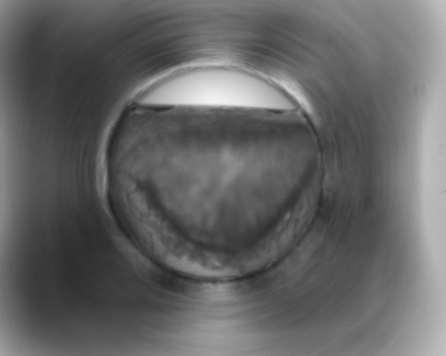 X0000088471080200706051338