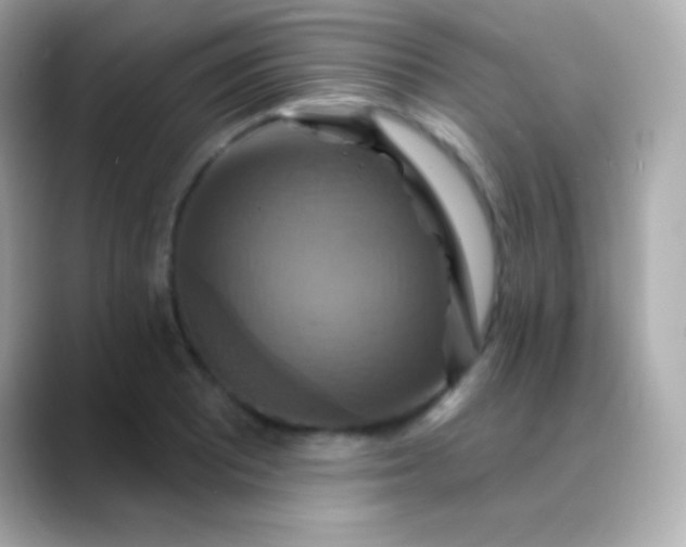 X0000088471081200706051338