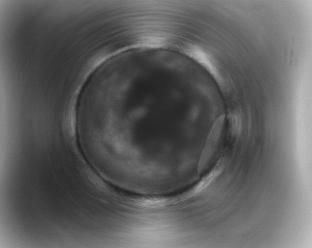 X0000088471083200706051338