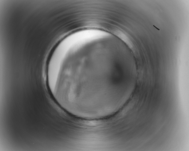 X0000088471084200706051338