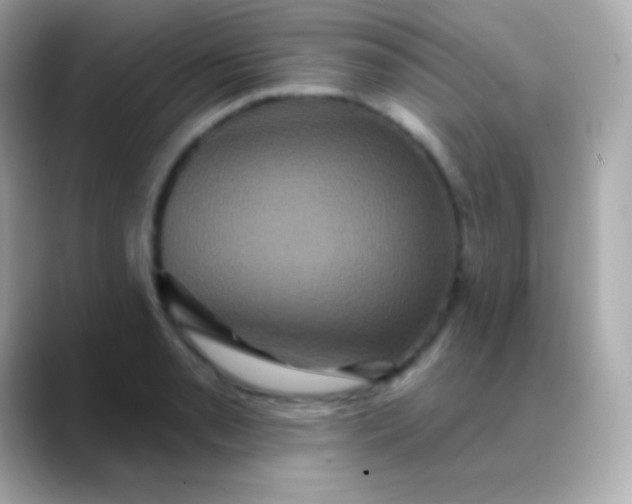 X0000088471085200706051338