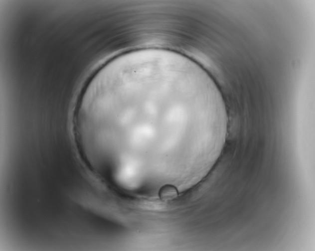 X0000088471086200706051338