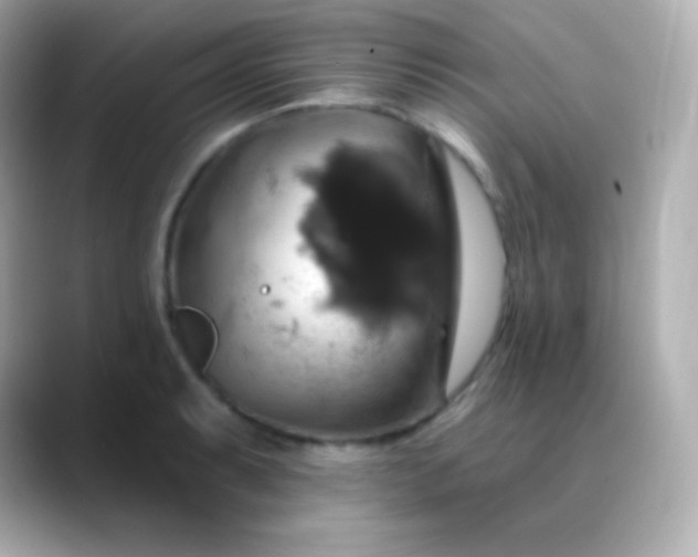 X0000088471087200706051338