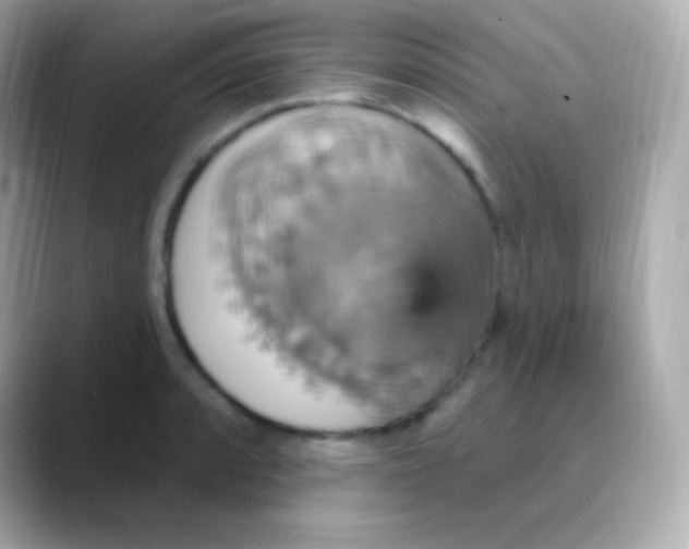 X0000088471088200706051338