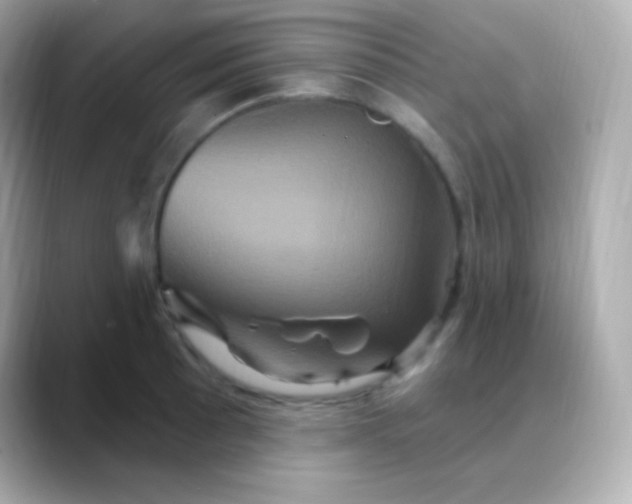 X0000088471089200706051338