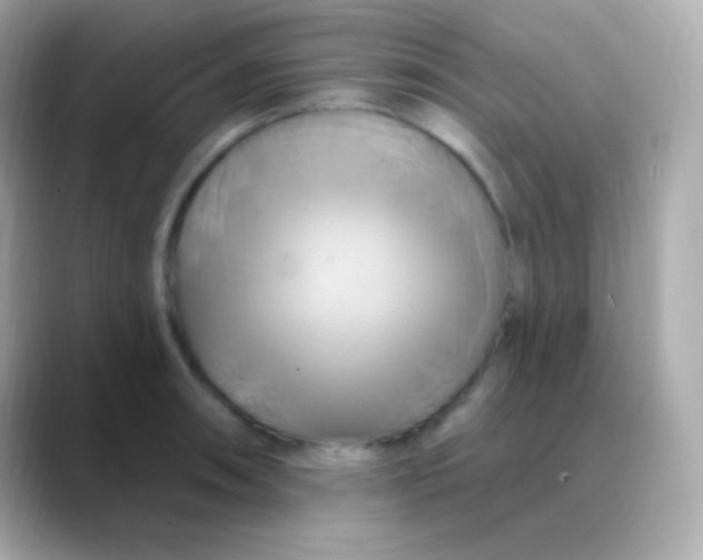 X0000088471090200706051338