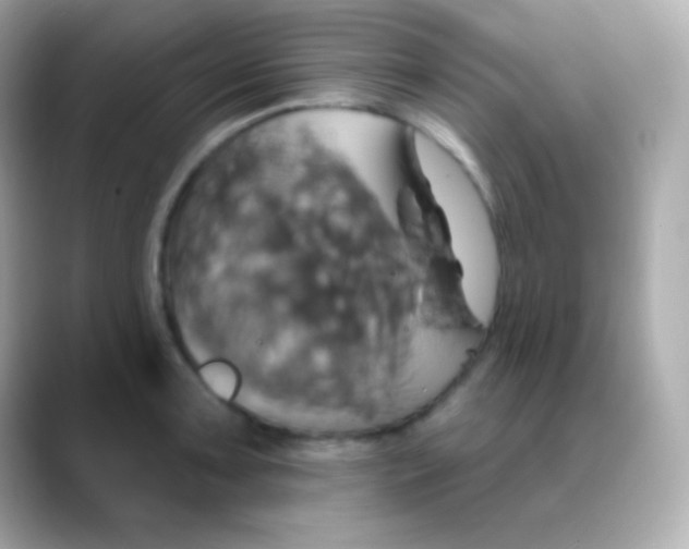 X0000088471091200706051338