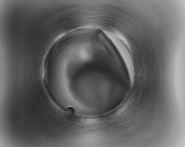 X0000088471095200706051338