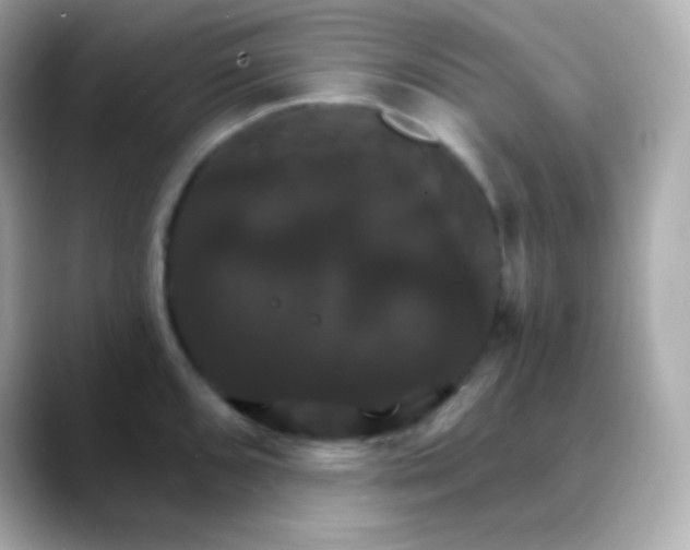 X0000088471096200706051338