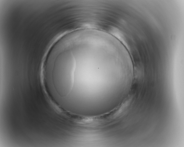 X0000088471098200706051338