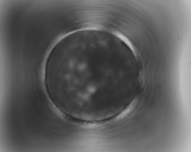 X0000088471099200706051338