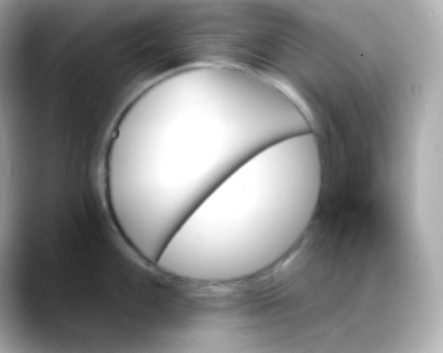 X0000088471100200706051338