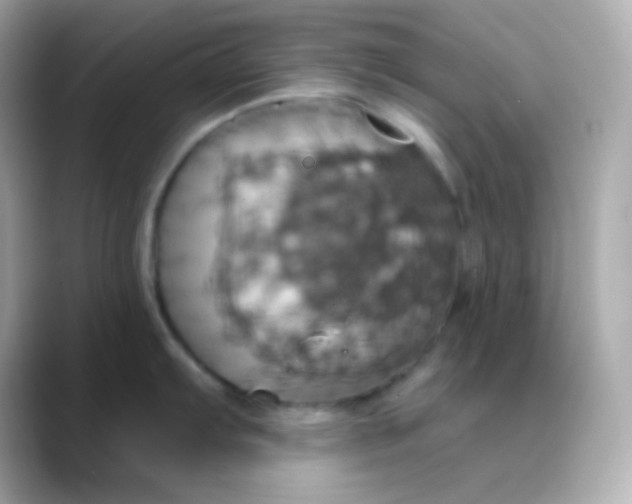 X0000088471103200706051338