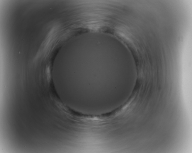 X0000088471106200706051337