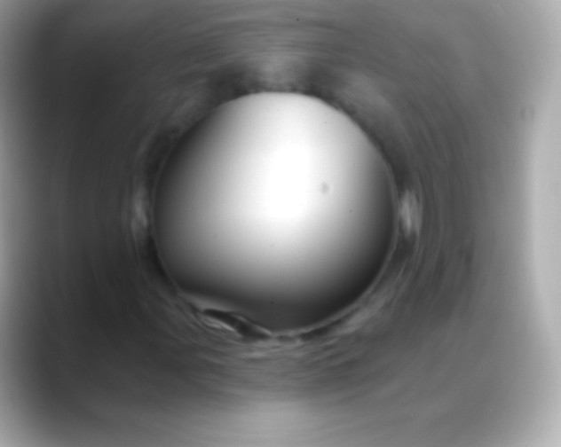 X0000088471107200706051337