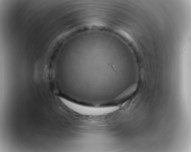 X0000088471112200706051337