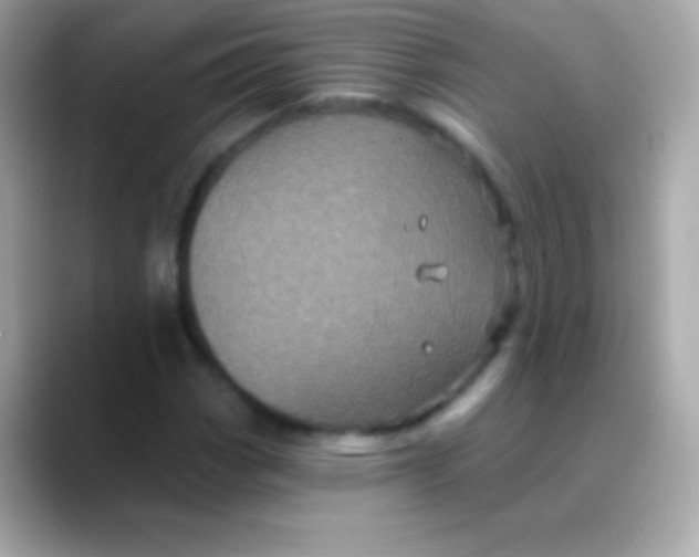 X0000088471113200706051337