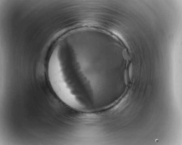 X0000088471115200706051337