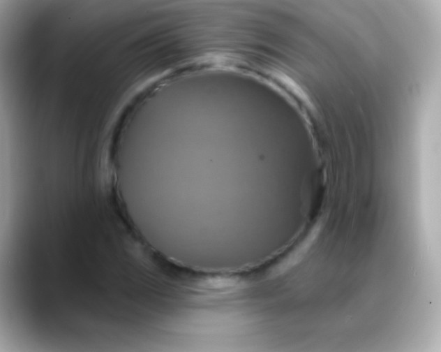 X0000088471117200706051337