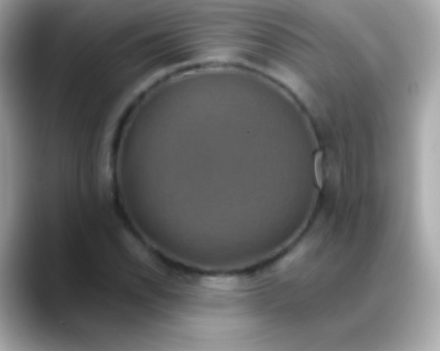 X0000088471118200706051337