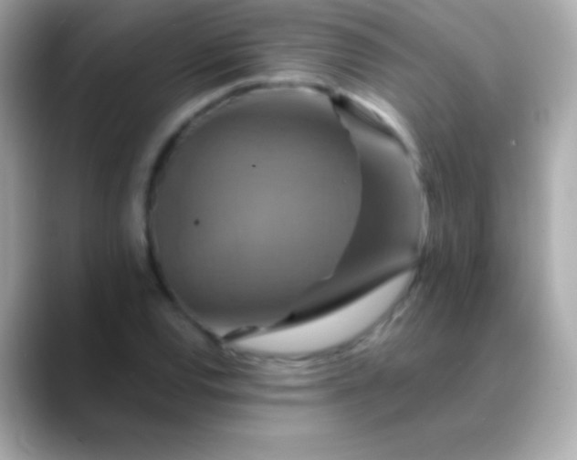 X0000088471120200706051337