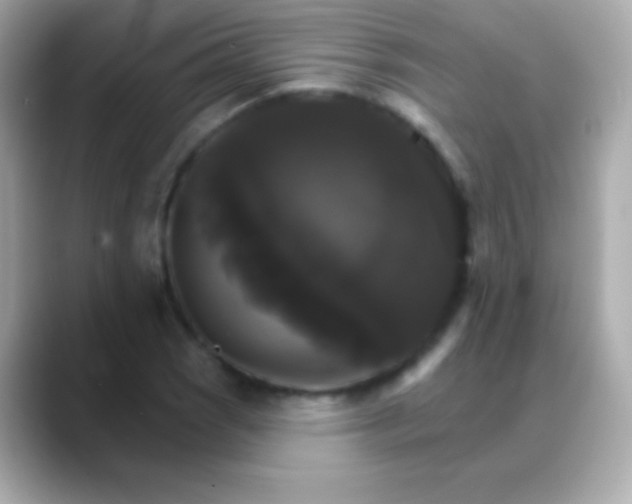 X0000088471121200706051337