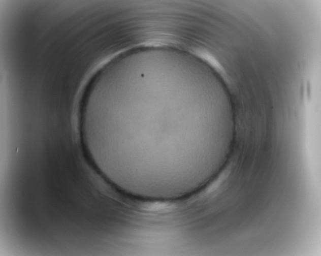 X0000088471122200706051337