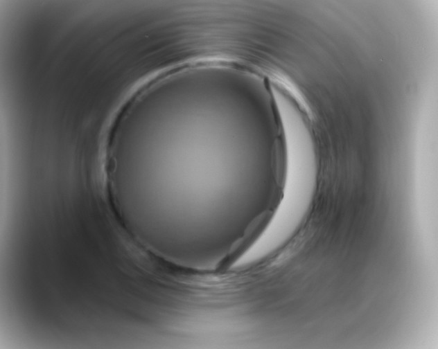 X0000088471124200706051337