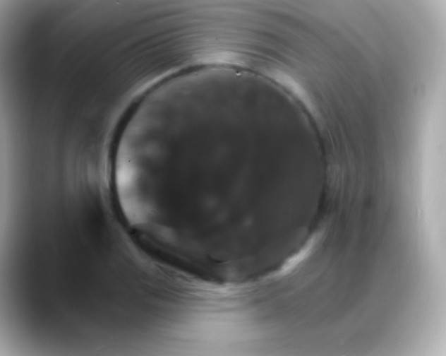 X0000088471125200706051337