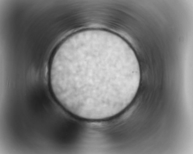 X0000088471126200706051337