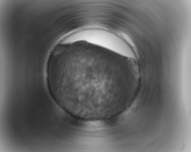 X0000088471133200706051337