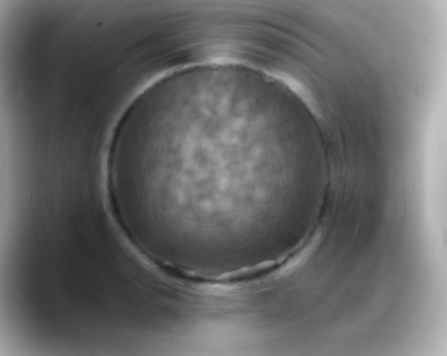 X0000088471134200706051337