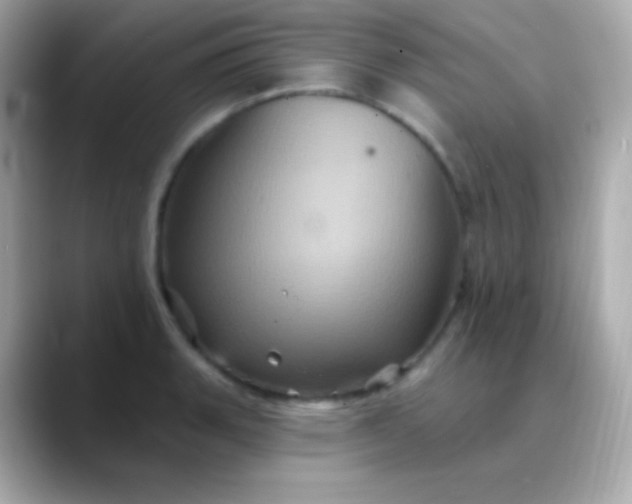 X0000088471135200706051337