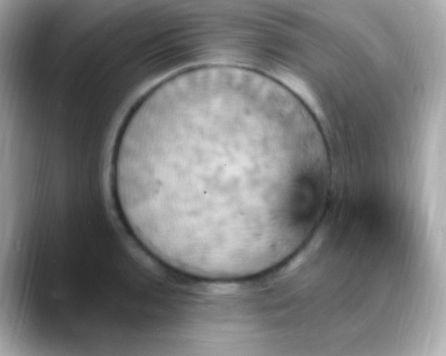 X0000088471136200706051337