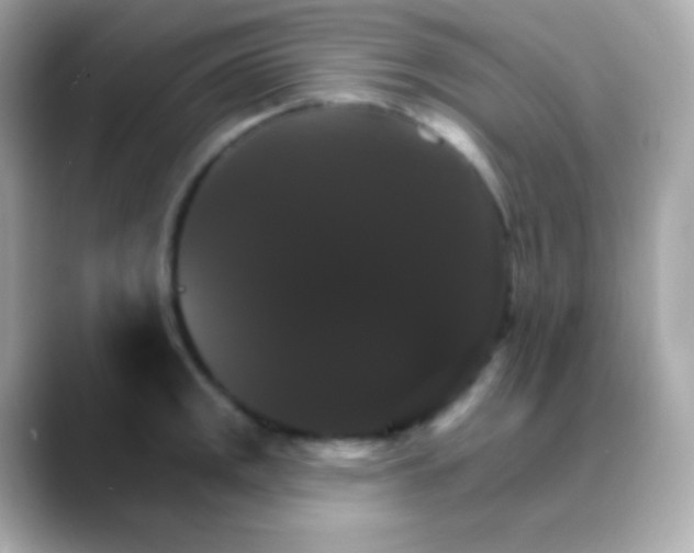 X0000088471141200706051337