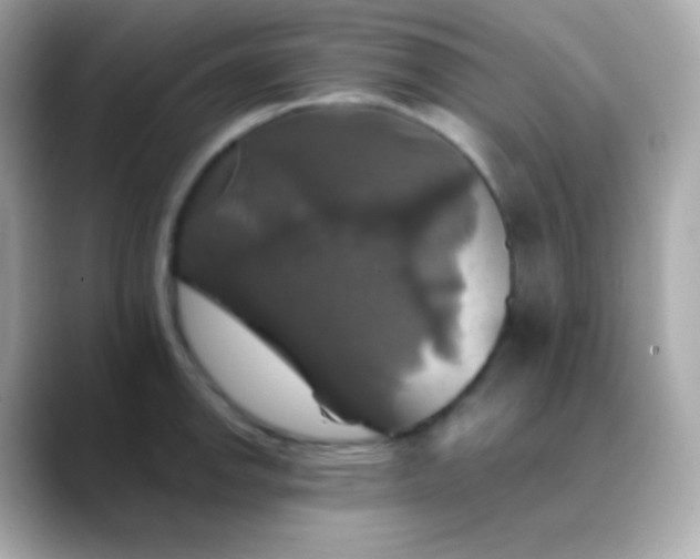 X0000088471142200706051337