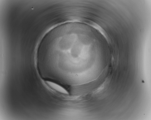 X0000088471143200706051337