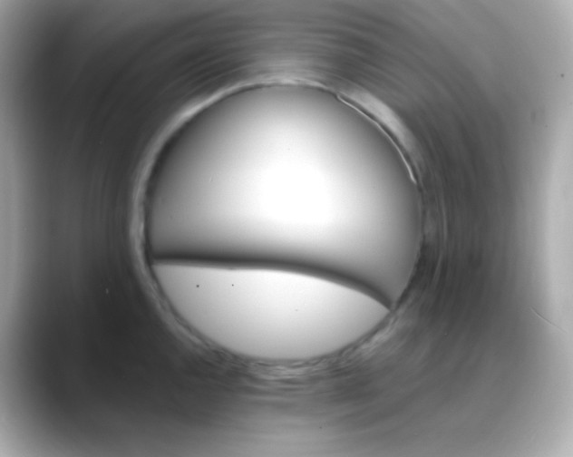 X0000088471144200706051337