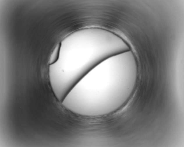 X0000088471145200706051337