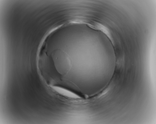 X0000088471146200706051337