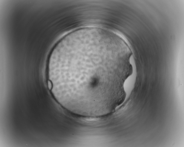 X0000088471147200706051337