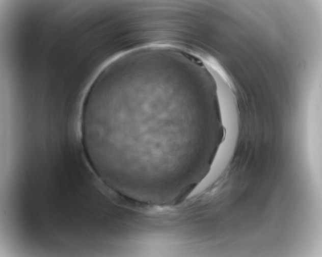 X0000088471148200706051337