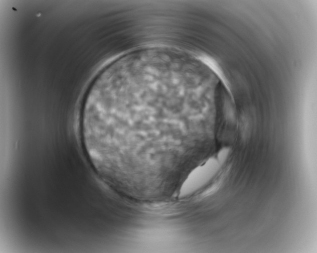 X0000088471149200706051337