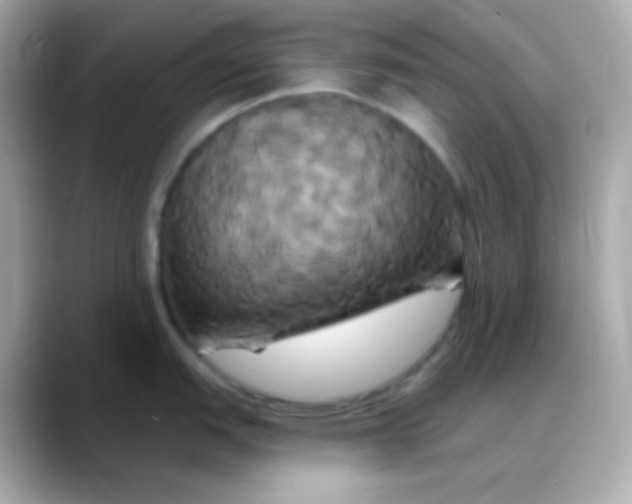 X0000088471151200706051337