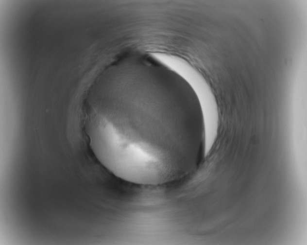 X0000088471153200706051337