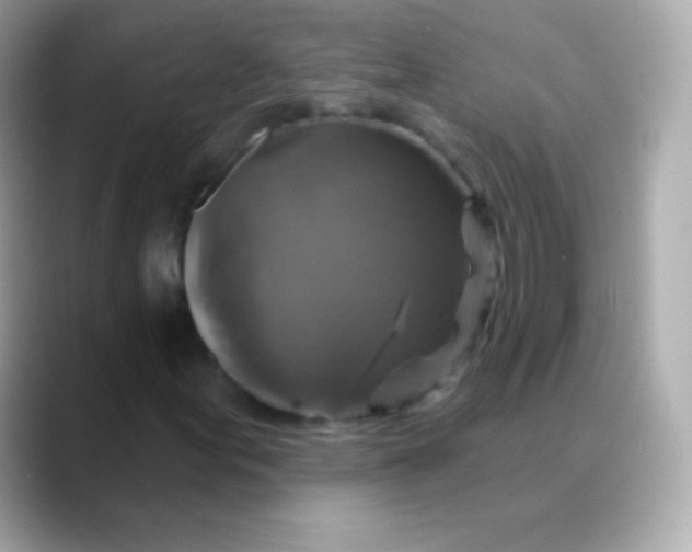 X0000088471155200706051337