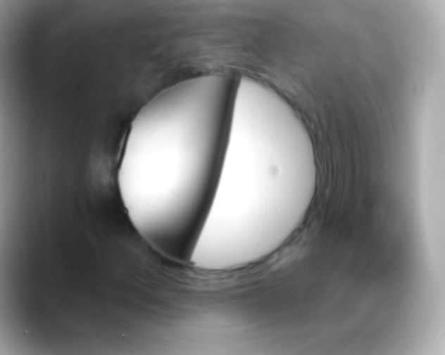 X0000088471156200706051337