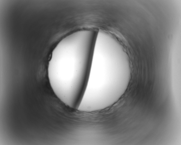 X0000088471160200706051337